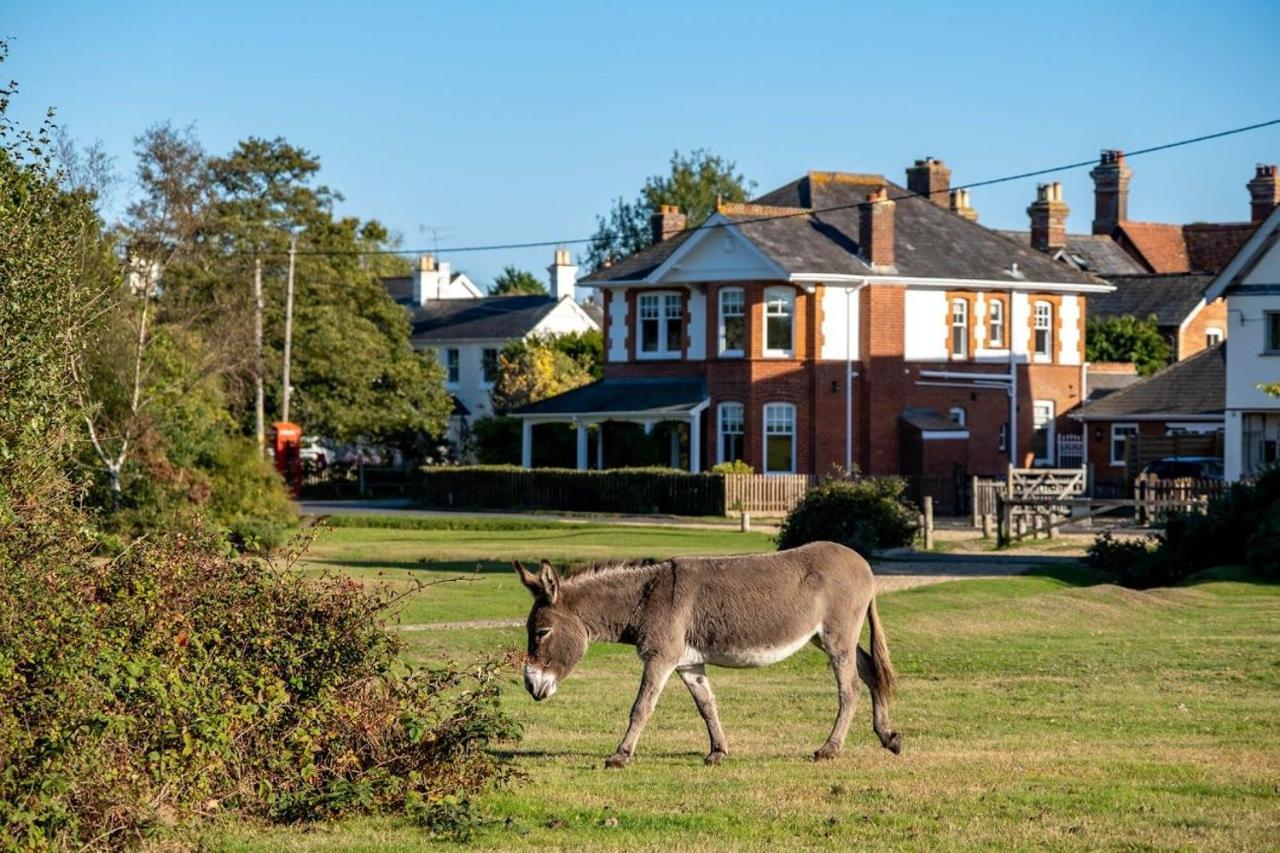 Surrey Lodge บร็อคเคนเฮิร์สต์ ภายนอก รูปภาพ