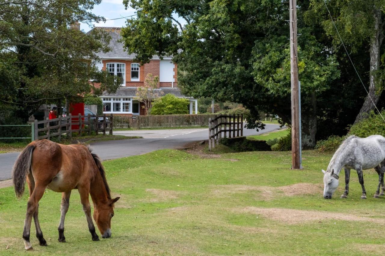 Surrey Lodge บร็อคเคนเฮิร์สต์ ภายนอก รูปภาพ
